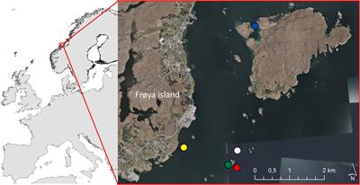 ‘Hanging gardens’—comparing fauna communities in kelp farms and wild kelp forests